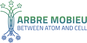 Arbre Mobieu