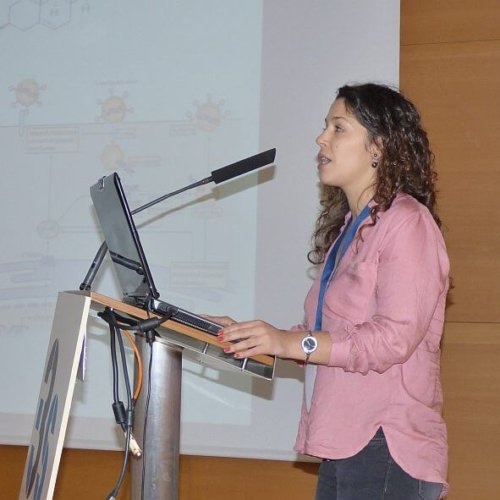 1st Arbre-Mobieu plenary meeting, Porto 2017