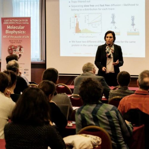 3rd plenary Arbre-Mobieu meeting Zagreb 2019