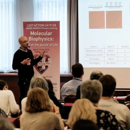 3rd plenary Arbre-Mobieu meeting Zagreb 2019