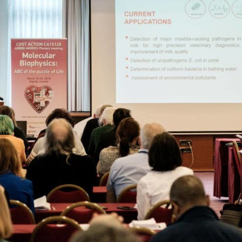 3rd plenary Arbre-Mobieu meeting Zagreb 2019