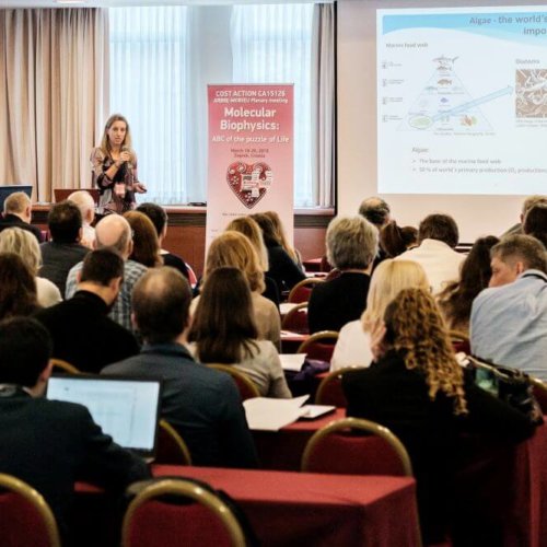 3rd plenary Arbre-Mobieu meeting Zagreb 2019