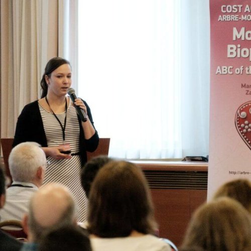 3rd plenary Arbre-Mobieu meeting Zagreb 2019
