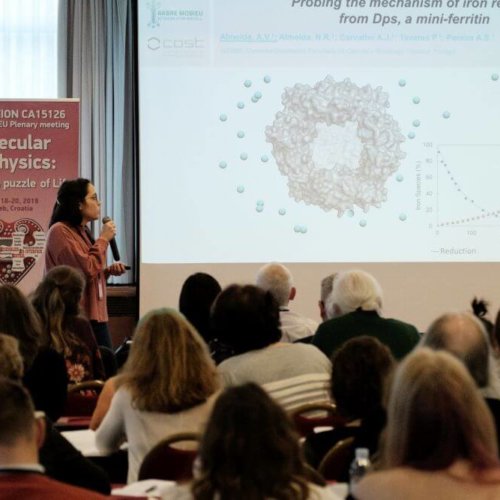 3rd plenary Arbre-Mobieu meeting Zagreb 2019
