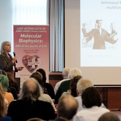 3rd plenary Arbre-Mobieu meeting Zagreb 2019