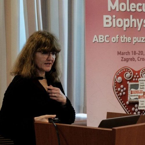 3rd plenary Arbre-Mobieu meeting Zagreb 2019