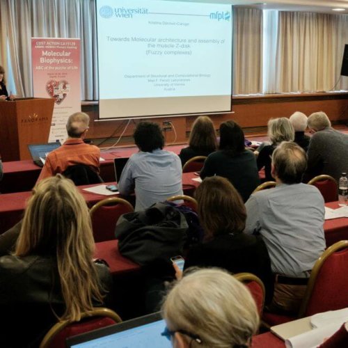3rd plenary Arbre-Mobieu meeting Zagreb 2019
