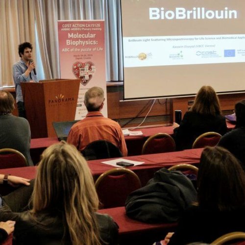 3rd plenary Arbre-Mobieu meeting Zagreb 2019
